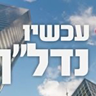 לוגו 11
